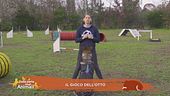Impariamo divertendoci