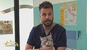Perché i gatti fanno la pasta?