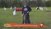 Impariamo divertendoci