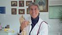 Professione veterinario