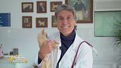 Professione veterinario