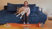 Le domande dei bambini