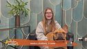 Perchè il mio cane appoggia sempre il suo muso sulla mia mano? Cosa mi vuole dire?