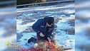 Il prezioso aiuto dato ad un capriolo