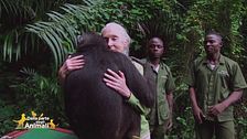 L'amore di Jane Goodall per gli animali