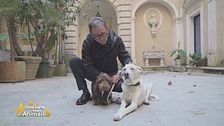 Peppino e Mimma gli amici di Pio Strabioli