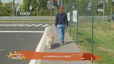 Impariamo divertendoci