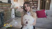 Pepe, il compagno di giochi di: Sara Manfuso
