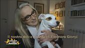 Il nostro dolce ricordo di Eleonora Giorgi