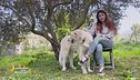 La storia di un'associazione che si occupa di animali