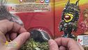 Un animale da scoprire: l'istrice