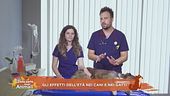 Gli effetti dell'età nei cani e nei gatti