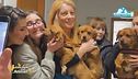 Come stanno i cagnolini maltrattati che abbiamo salvato?