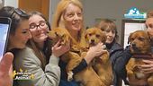 Come stanno i cagnolini maltrattati che abbiamo salvato?