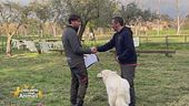 La formazione del proprietario