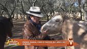 Al Bano Carrisi e i suoi amici animali