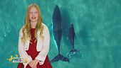 Stella's World: La balena