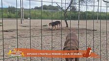 Rifugio I fratelli minori Lida di Olbia