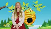 Stella's World: il significato simbolico dell'ape