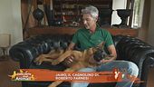 Jairo, il cagnolino di Roberto Farnesi