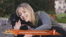 Una nuova famiglia per Kabuki