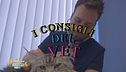I consigli del vet