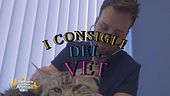 I consigli del vet