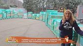 Crocchette per i randagi del sud Italia