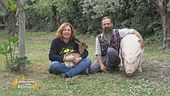 I momenti più belli delle storie a lieto fine
