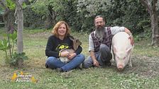 I momenti più belli delle storie a lieto fine