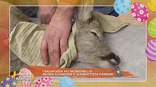 I salvataggi più incredibili di Reiner Schneider e Gianbattista Fornari