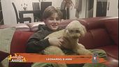 Perchè il coniglio è il simbolo di Pasqua?