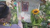 Il cimitero degli animali più antico d'Italia