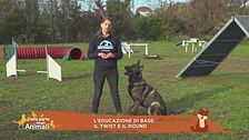 Impariamo divertendoci: il twist e il round