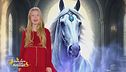 Stella's World: alla scoperta del significato simbolico del cavallo