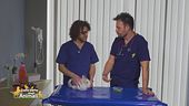 L'alimentazione del coniglio