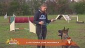 Impariamo divertendoci: la pettorina, come indossarla