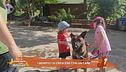 I benefici di crescere con un cane