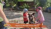 I benefici di crescere con un cane
