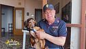 Bruno, il cane salvato dalla polizia di stato