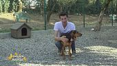 Un aiuto concreto da Brescia