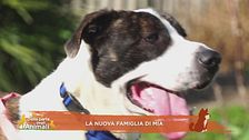 La nuova famiglia di Mia