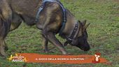 Impariamo divertendoci