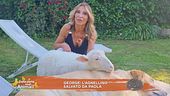 George, l'agnellino salvato da Paola