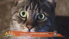 Tyson, il compagno di divano di Gilles Rocca
