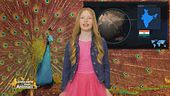 Stella's World: il pavone