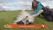 Il percorso educativo