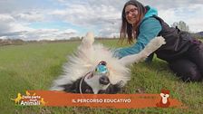 Il percorso educativo