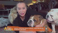 Rocky, Macchia, Bice e Milva, i figli pelosi di: Barbara De Rossi