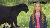 Stella's World: la pantera